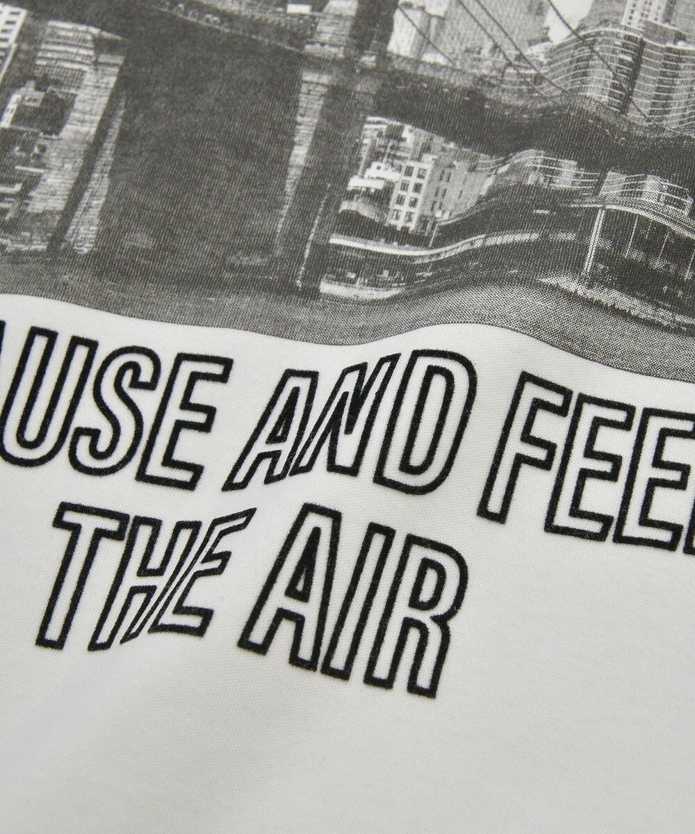 AMERICAN HOLIC アソートロゴロンＴ 