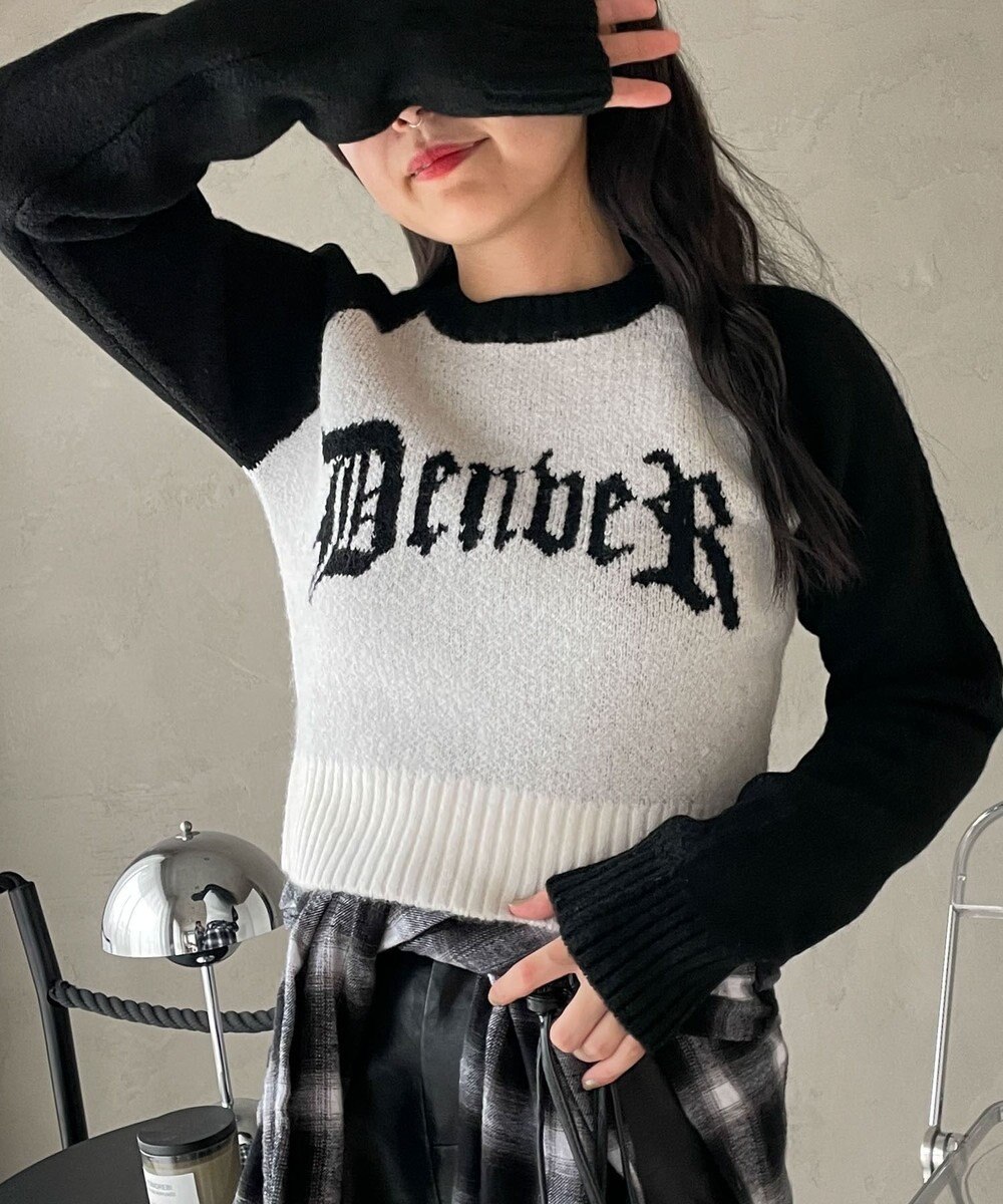 WEGO フラッフィーグラフィックちびニット 