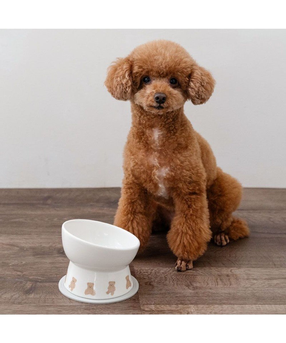 PET PARADISE ペットパラダイス 高さのある フードボウル 《テディ柄》 小型犬 