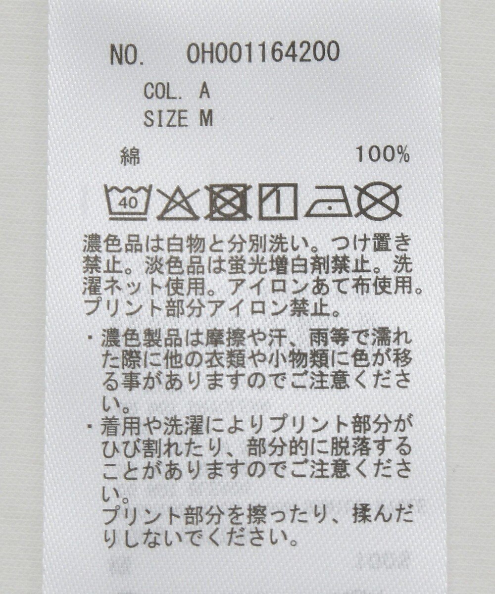 AMERICAN HOLIC アソートロゴロンＴ 