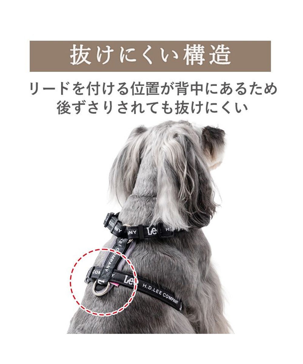 PET PARADISE Lee ロゴアクティブ ハーネス ３Ｓ 