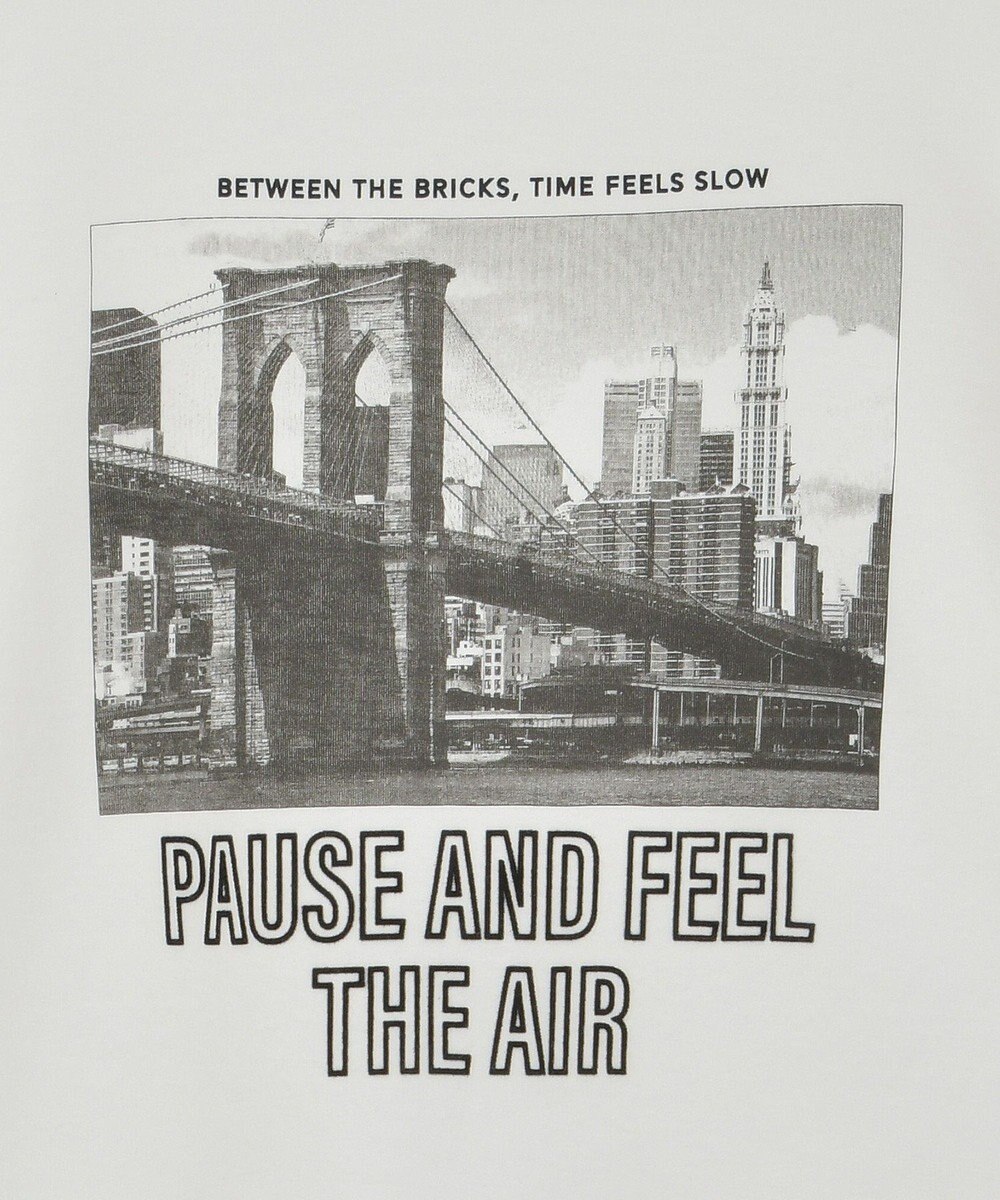 AMERICAN HOLIC アソートロゴロンＴ 