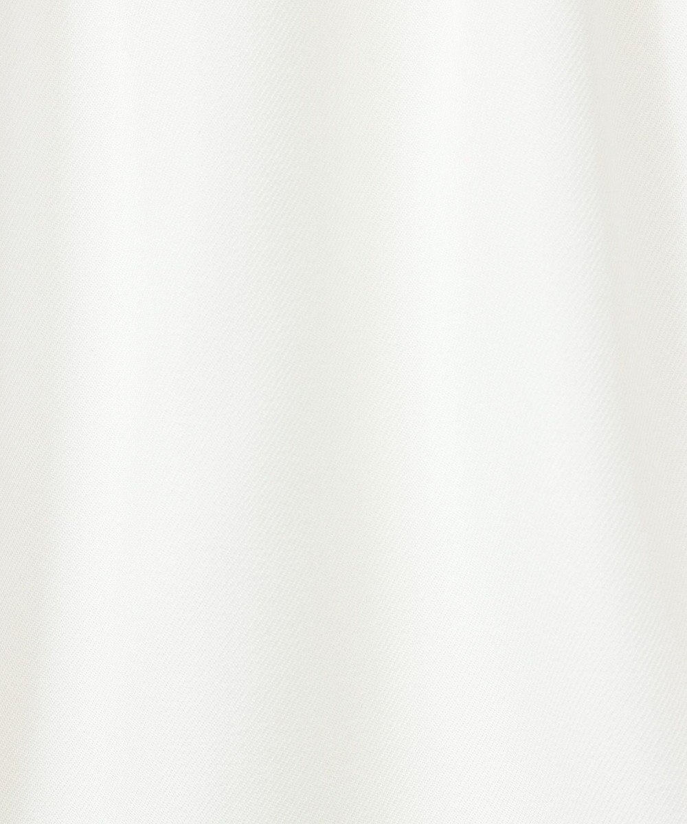 Green Parks ｄａｚｚｌｉｎ　ツイルチュールレイヤードスカート 