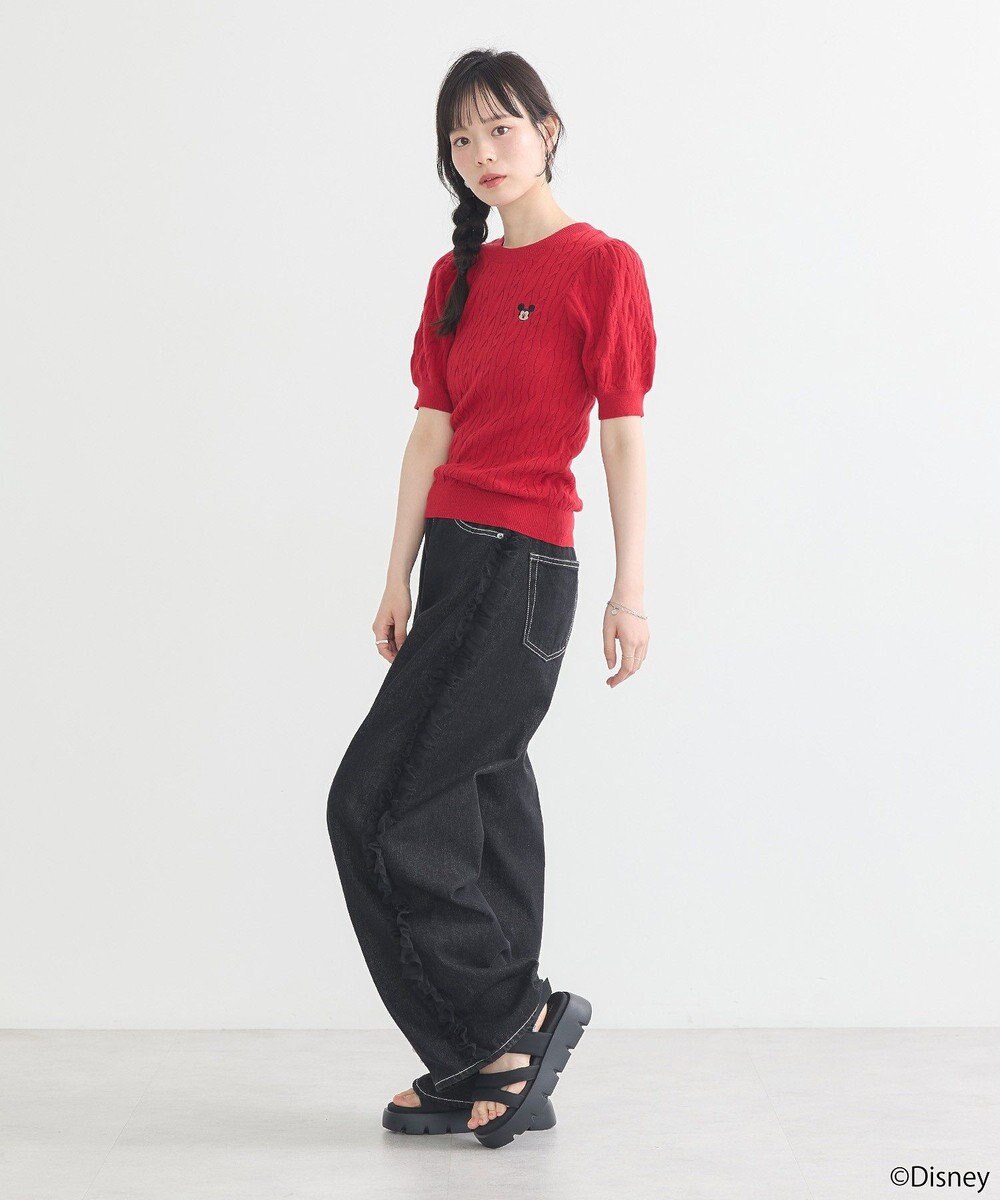 earth music&ecology Ｄｉｓｎｅｙ×Ｓｅｉｊｉ　Ｍａｔｓｕｍｏｔｏ刺繍ニット 