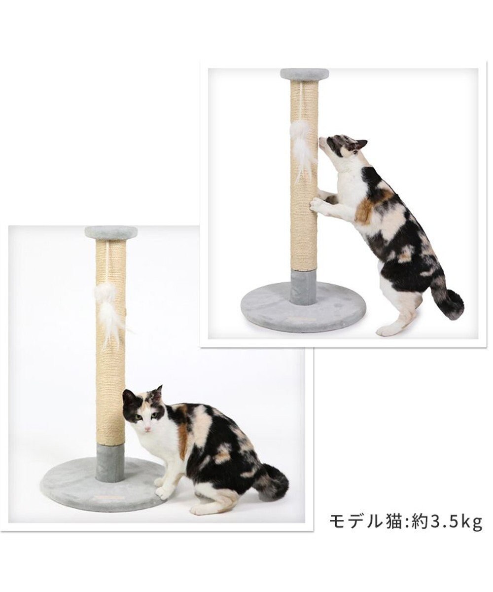 PET PARADISE 猫 つめとぎ タワー 66cm 