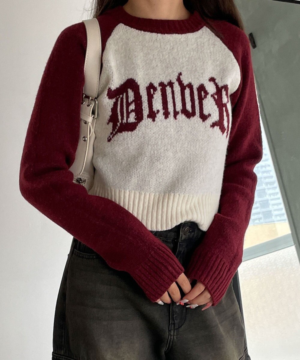 WEGO フラッフィーグラフィックちびニット 