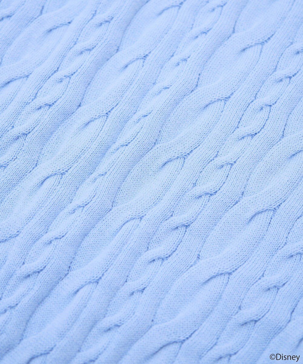 earth music&ecology Ｄｉｓｎｅｙ×Ｓｅｉｊｉ　Ｍａｔｓｕｍｏｔｏ刺繍ニット 