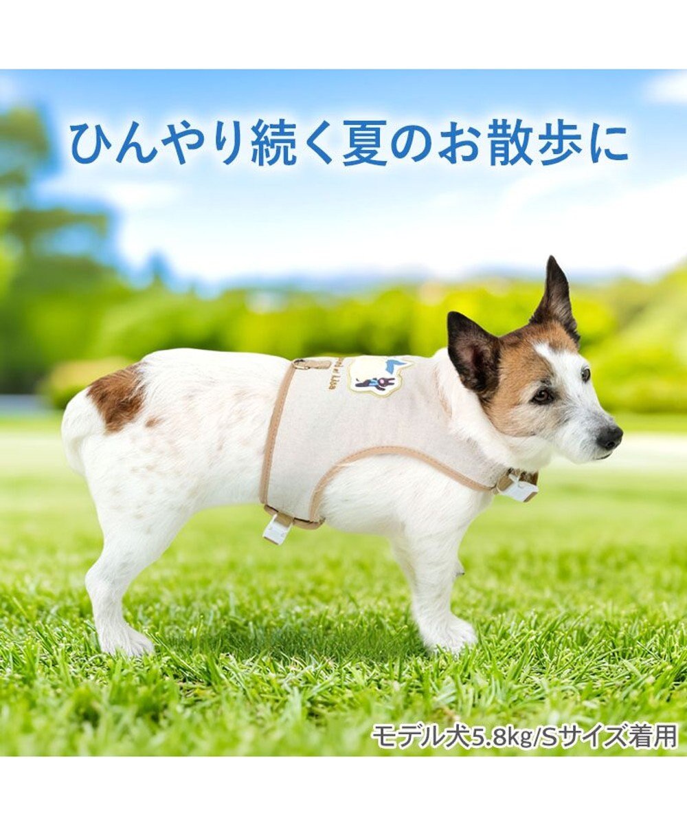 PET PARADISE リサとガスパール 保冷剤付き クール ハーネス 《シトラス柄》  Ｓ 小型犬 