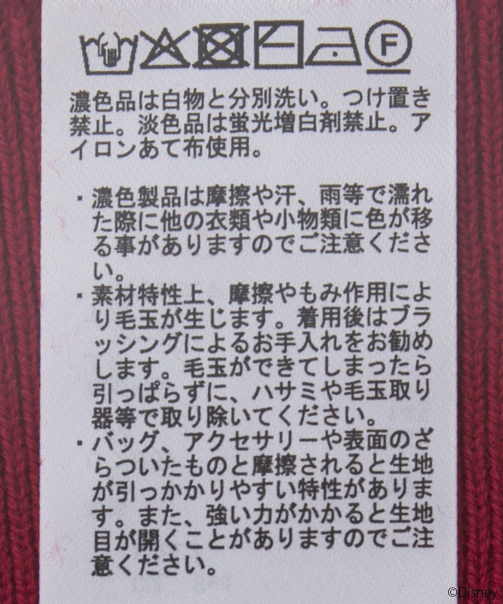 earth music&ecology Ｄｉｓｎｅｙ×Ｓｅｉｊｉ　Ｍａｔｓｕｍｏｔｏ刺繍ニット 