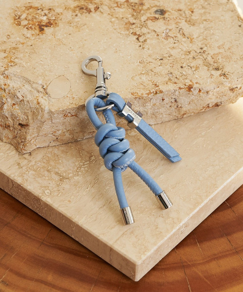 IACUCCI 【予約】ジェメッリ CERVO 