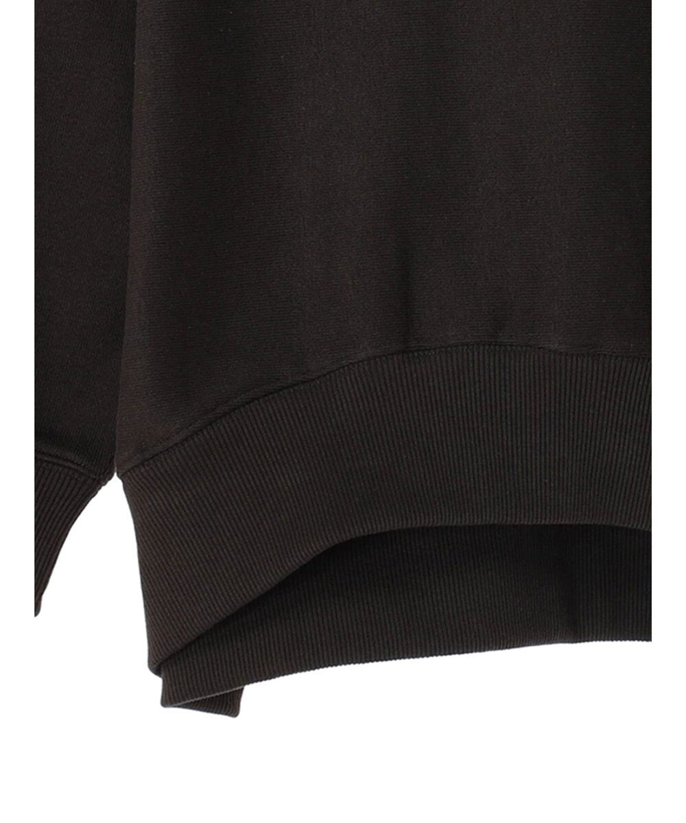 AMERICAN HOLIC ネップ裏毛ロゴスウェット 