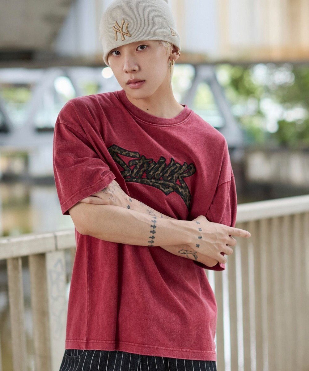 WEGO 【ユニセックス着用ITEM//MLサイズ展開】接触冷感グラフィックBIG　T（SS） 