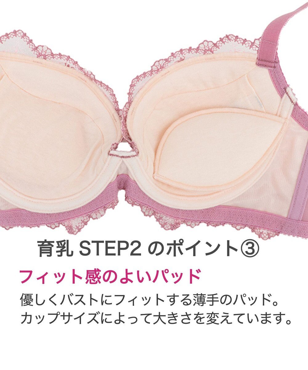 BRADELIS New York 【BRADELIS New York】ベルステップ２ブラ23S2 高さを出してシャープなバストをつくる 