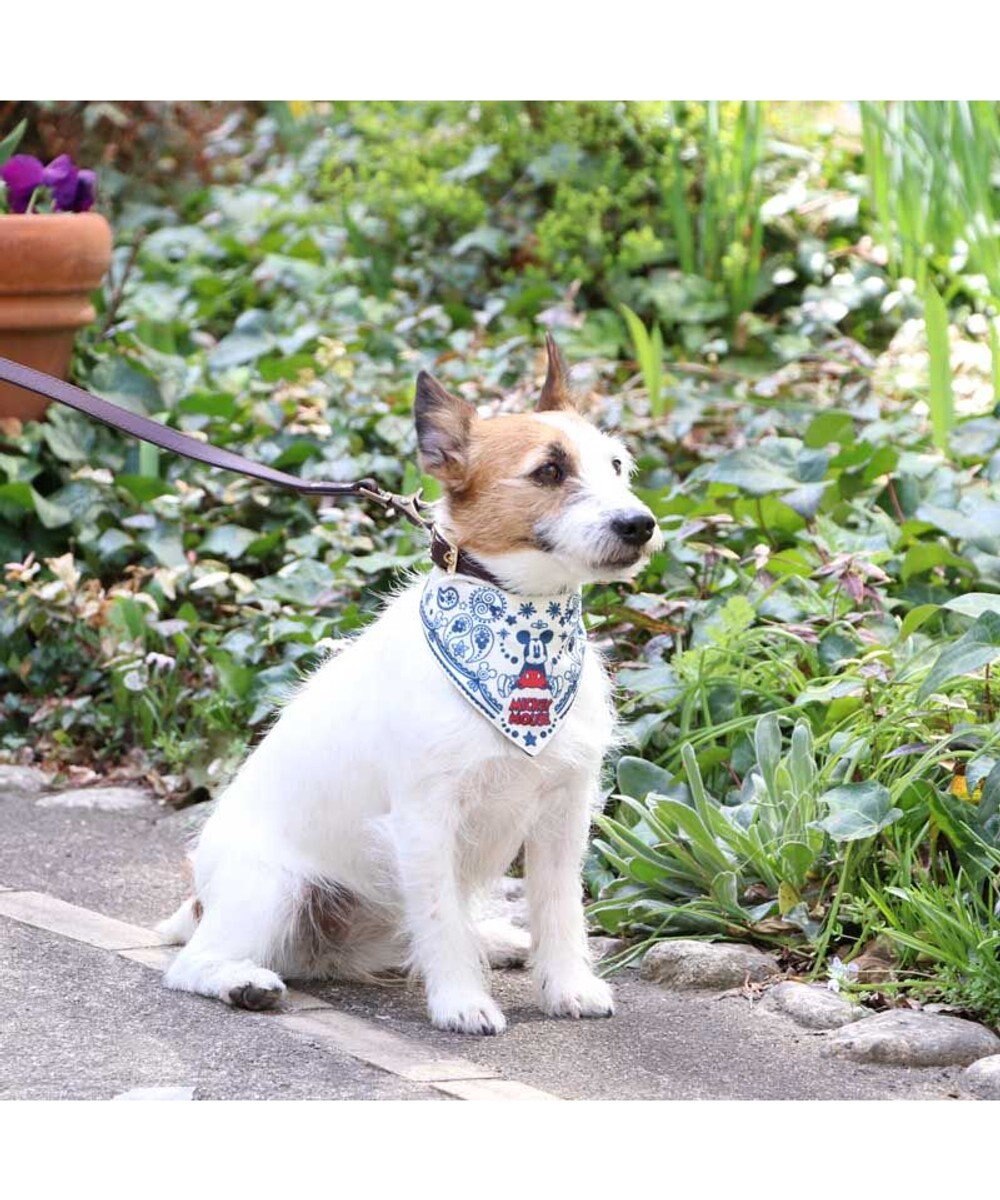 ひんやり バンダナ 保冷剤付き ディズニー ミッキーマウス クールバンダナ 小型犬 ペイズリー柄 ネッククーラー 夏 ひんやり バンダナ ひんやり 涼感 冷却 吸水速乾 Pet Paradise ファッション通販 公式通販 オンワード クローゼット