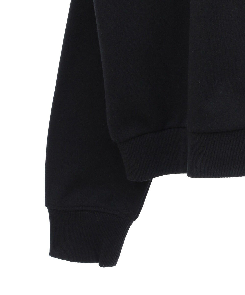 Green Parks １０ｔｈベイマックス／ポスタープルオーバー 