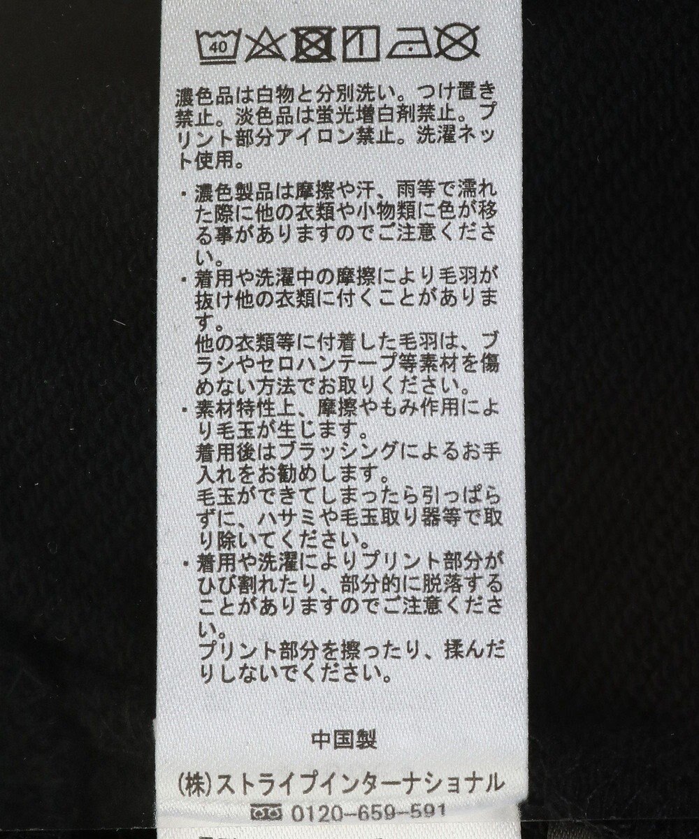 Green Parks １０ｔｈベイマックス／ポスタープルオーバー 