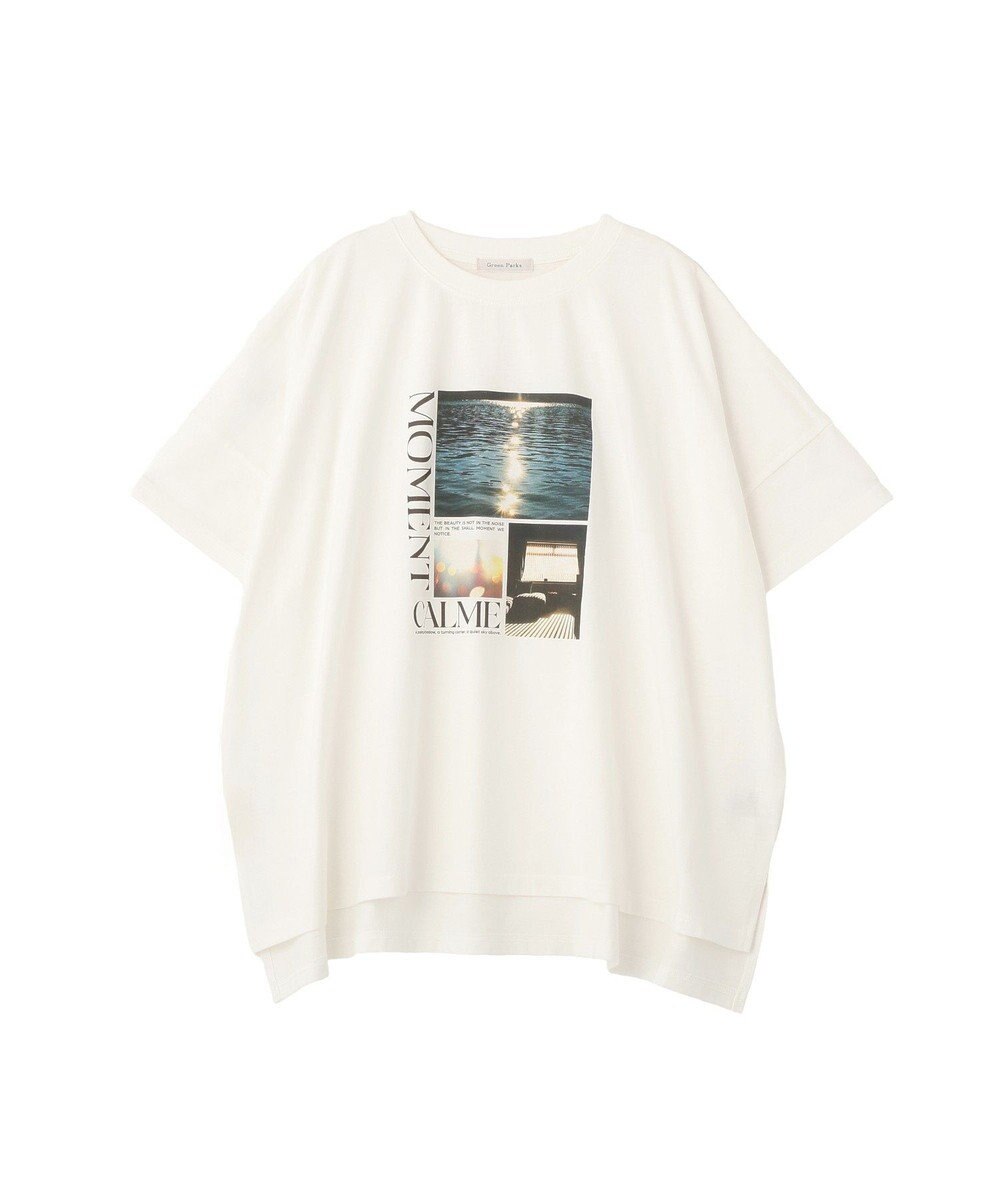 Green Parks アソート柄ＢｉｇサイズＴシャツ 