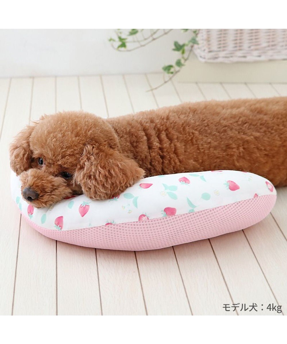 PET PARADISE ペットパラダイス クール ピロー 《いちご＆お花柄》 