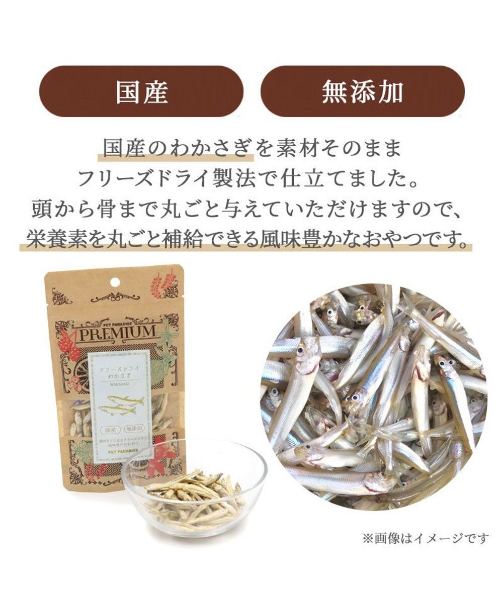 PET PARADISE プレミアムフード フリーズドライ わかさぎ 10g 