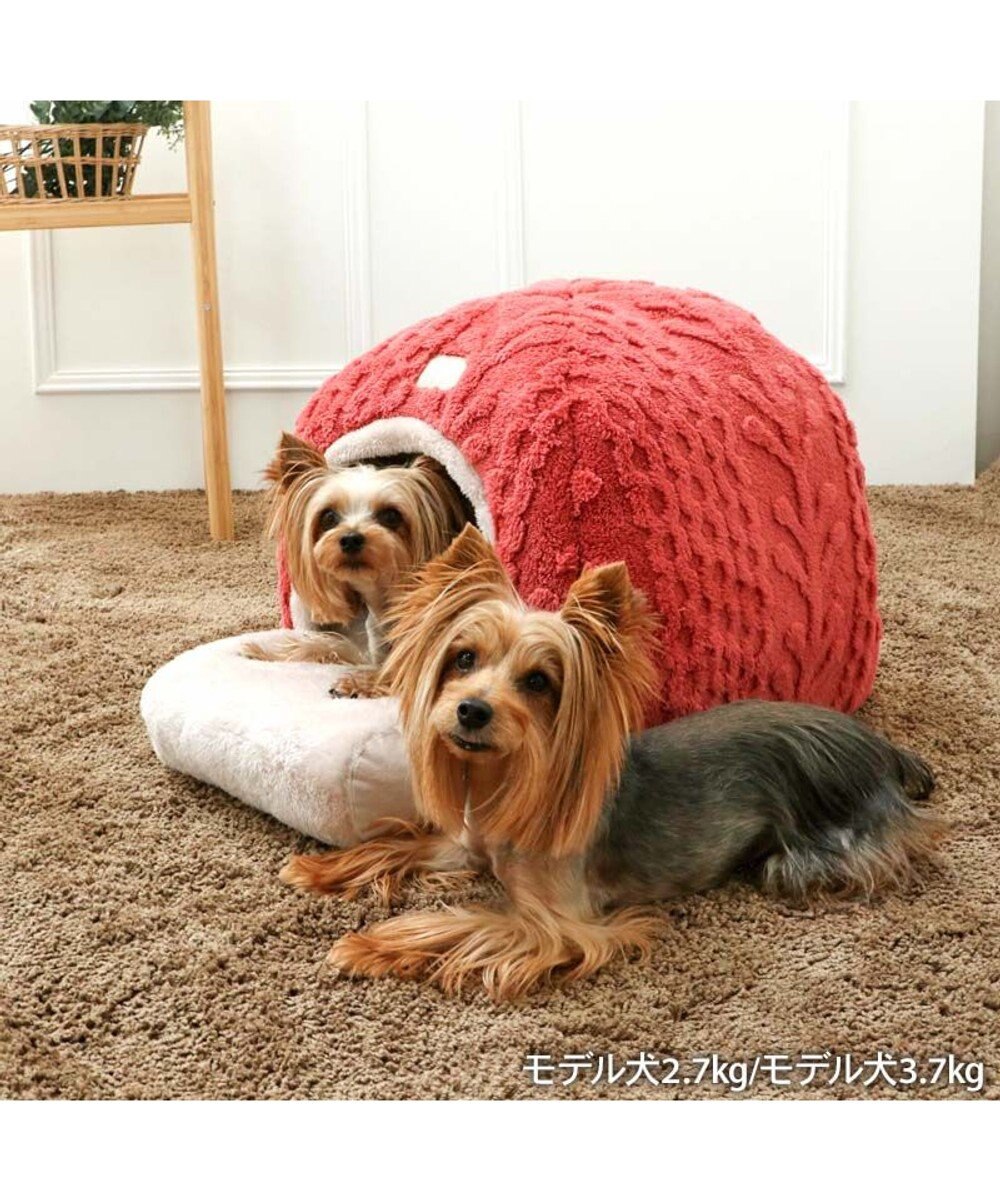 PET PARADISE ペットパラダイス  遠赤外線 アランボア ハウス 