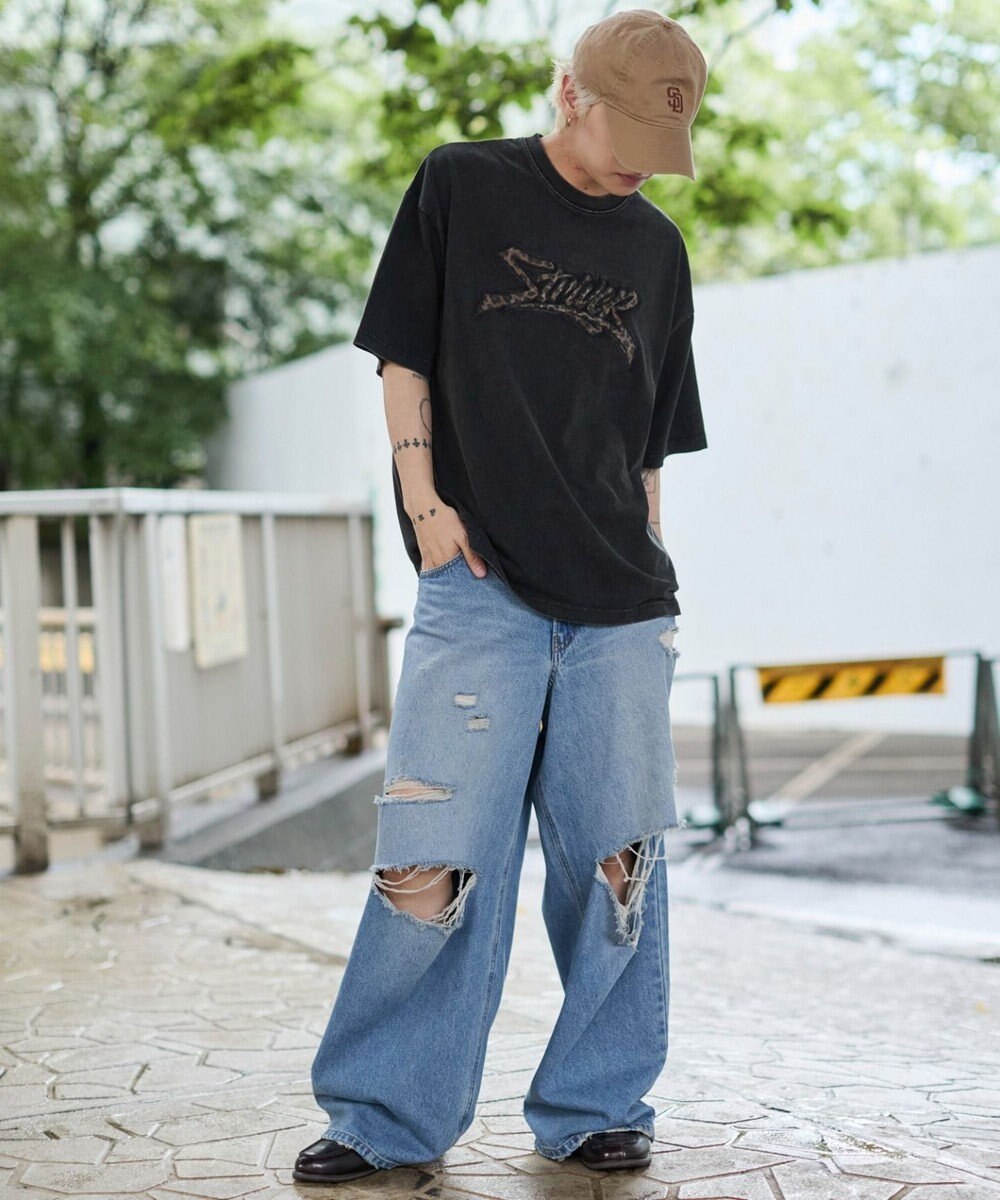 WEGO 【ユニセックス着用ITEM//MLサイズ展開】接触冷感グラフィックBIG　T（SS） 