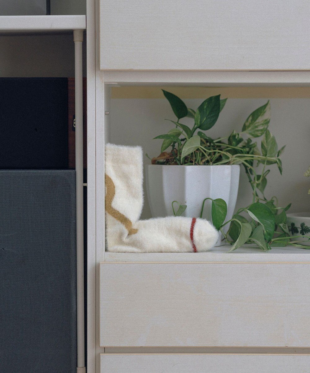 TRICOTE シャギーラインソックス 