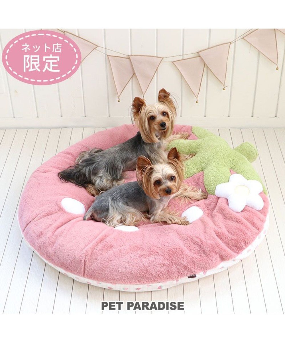 ネット店限定 くすみ苺 クッション (90×92cm) 【小型犬】 / PET