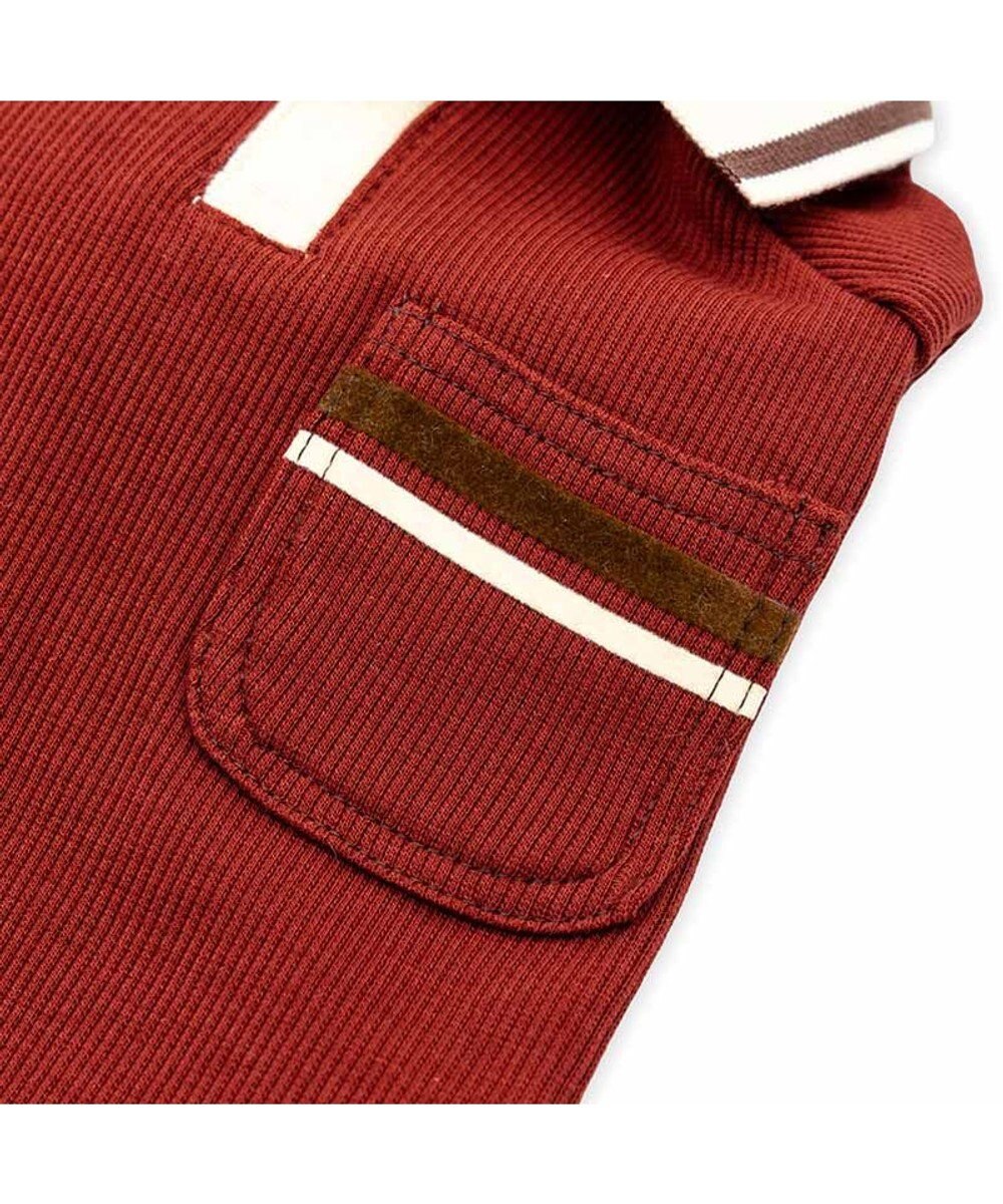 PET PARADISE ペットパラダイス プレミアム ぺティヒート スキッパーＴシャツ 中型犬 大型犬 