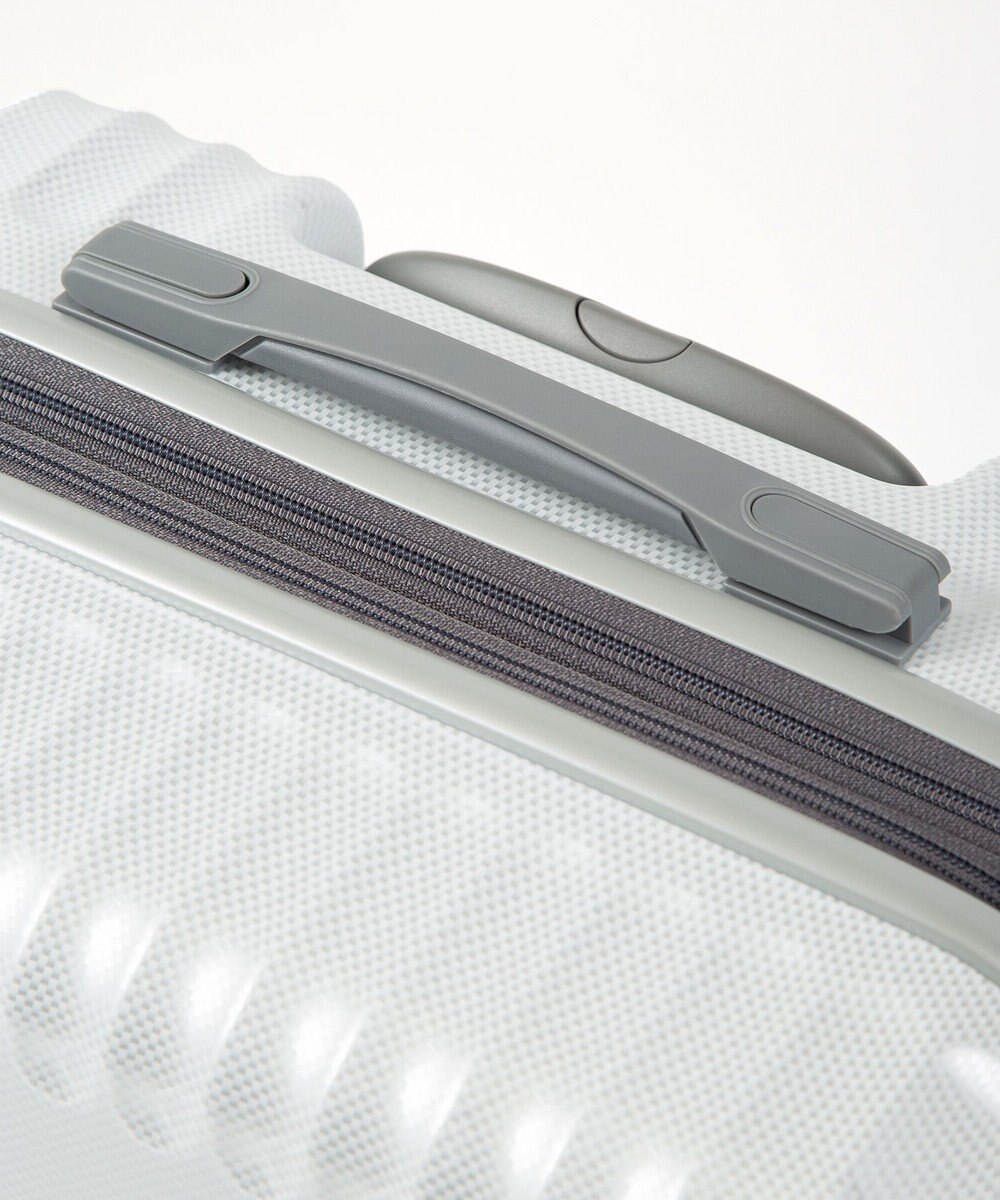 ACE BAGS & LUGGAGE ace. パリセイドZd Lサイズ 88～103L 06817 エース 