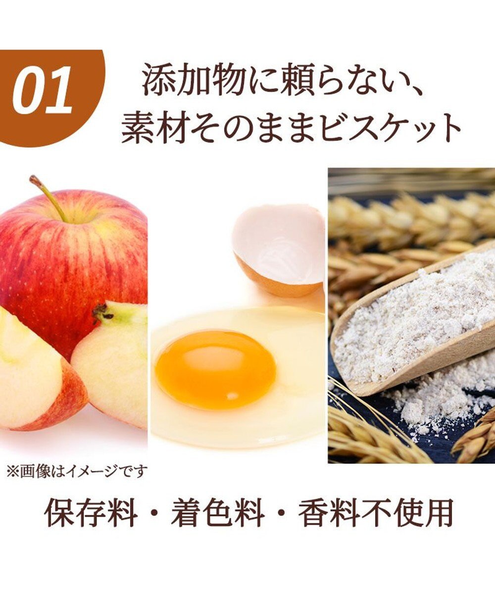 PET PARADISE ペットパラダイス 国産 りんご ビスケット 100g 