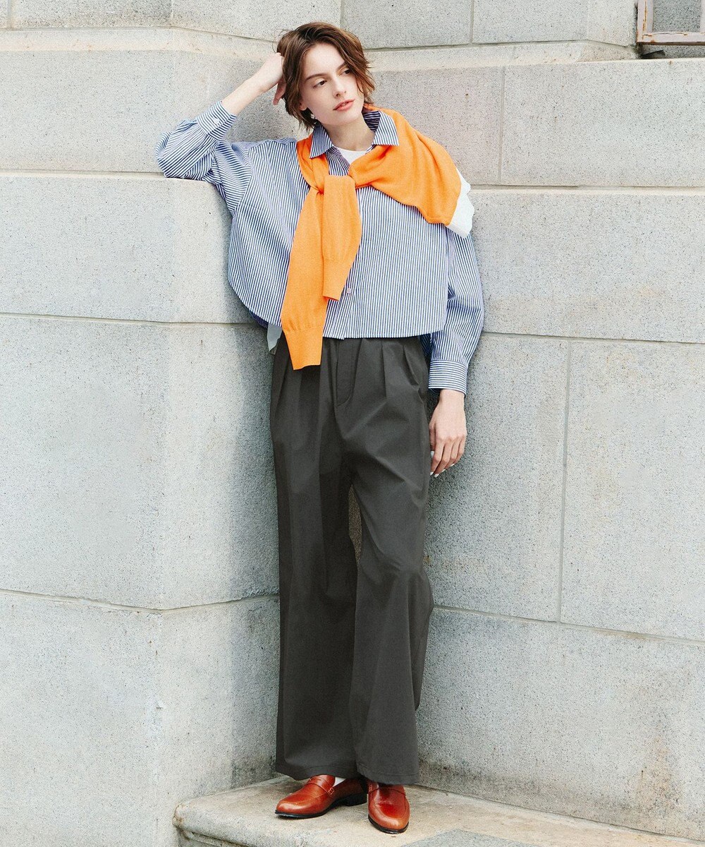 ANY 【POLO BCS別注】プレッピークロップドシャツ 