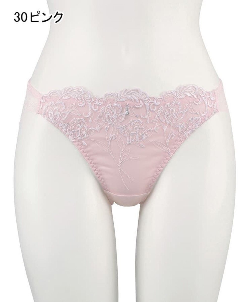 San-ai Resort（三愛水着楽園） エレガントコレクション2310ノーマルショーツ  【northerly】 