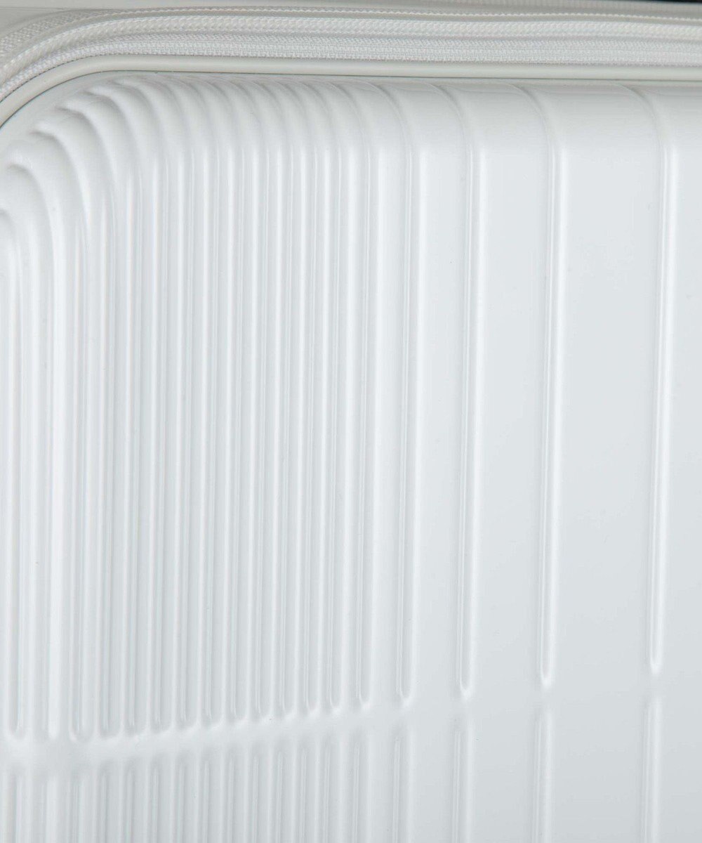 ACE BAGS & LUGGAGE ace. ディフェレンス スーツケース 65L 05723 