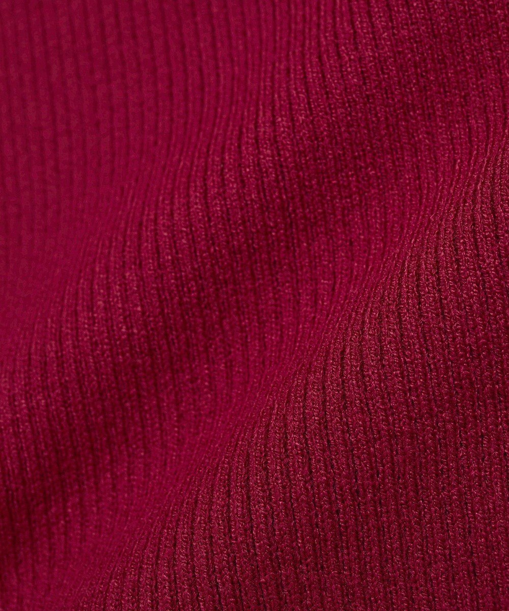 earth music&ecology 【イージーケア】【洗濯機洗い可】レンチング(TM)エコヴェロ(TM)(リブタートル) 