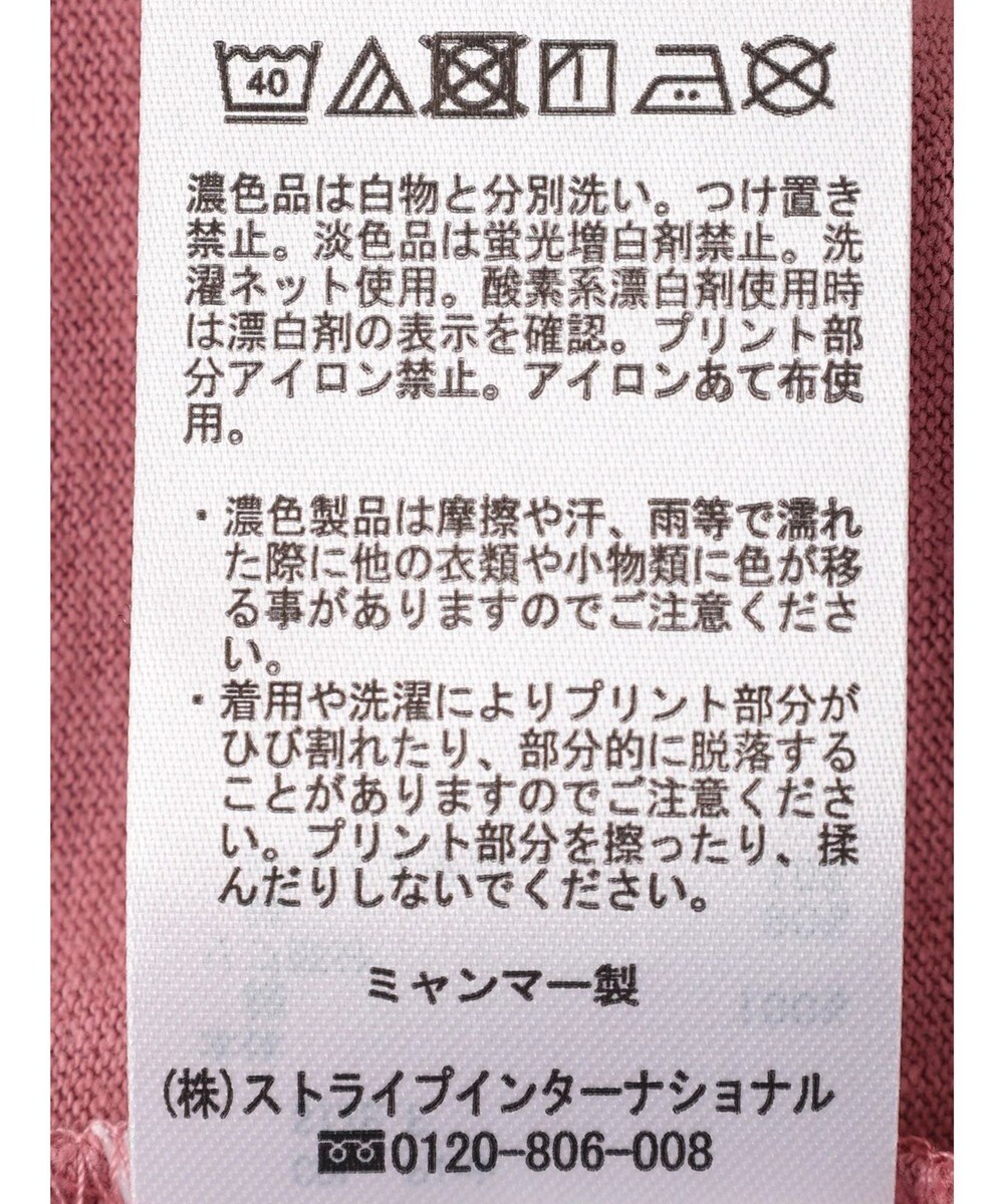 Green Parks ２段カレッジロゴボックスＴシャツ 