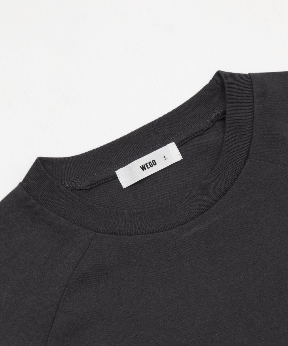 WEGO 【ユニセックス着用ITEM/MLサイズ展開】スリーブロゴグラフィックラグランT（LS） 