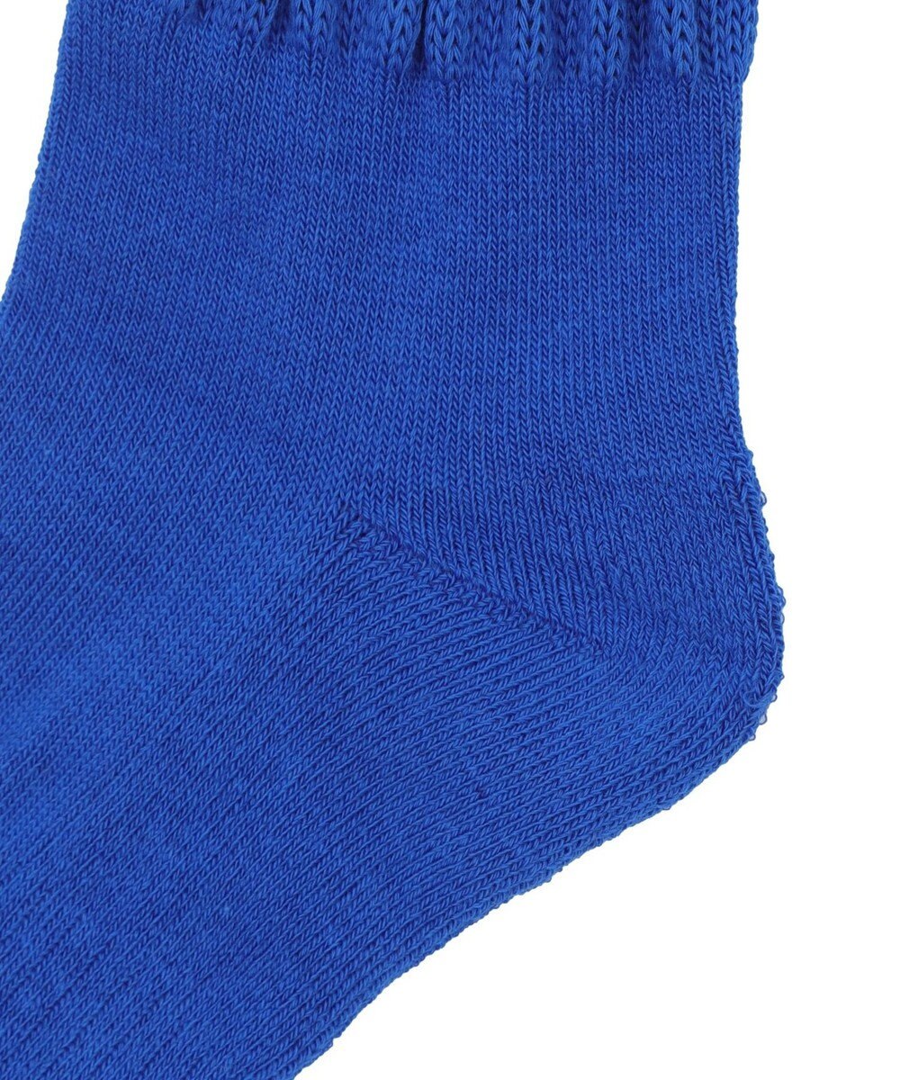 WEGO サポート付きボリューム無地リブソックス 