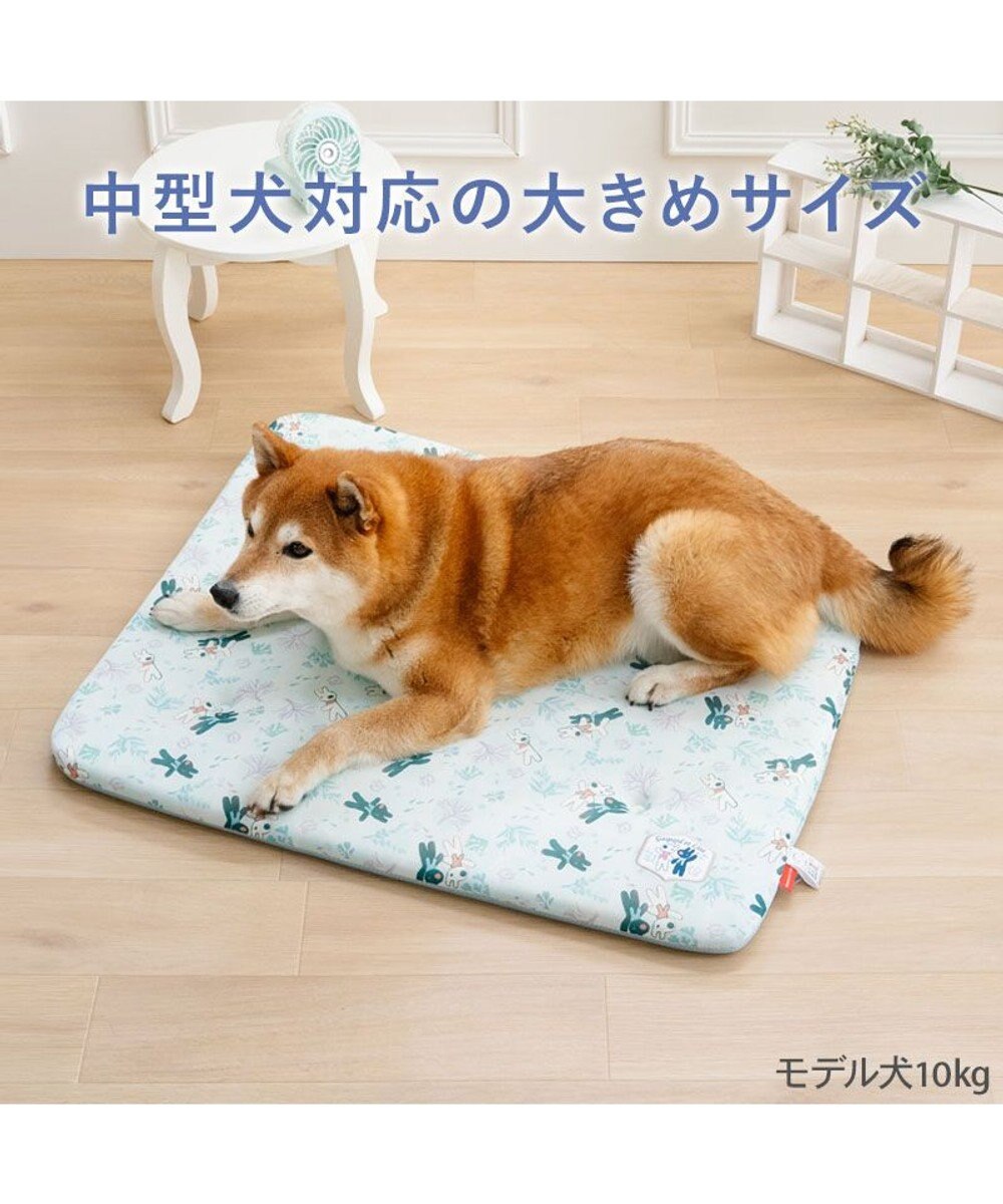 PET PARADISE リサとガスパール もちっと クール マット Ｍ 《海草柄》 