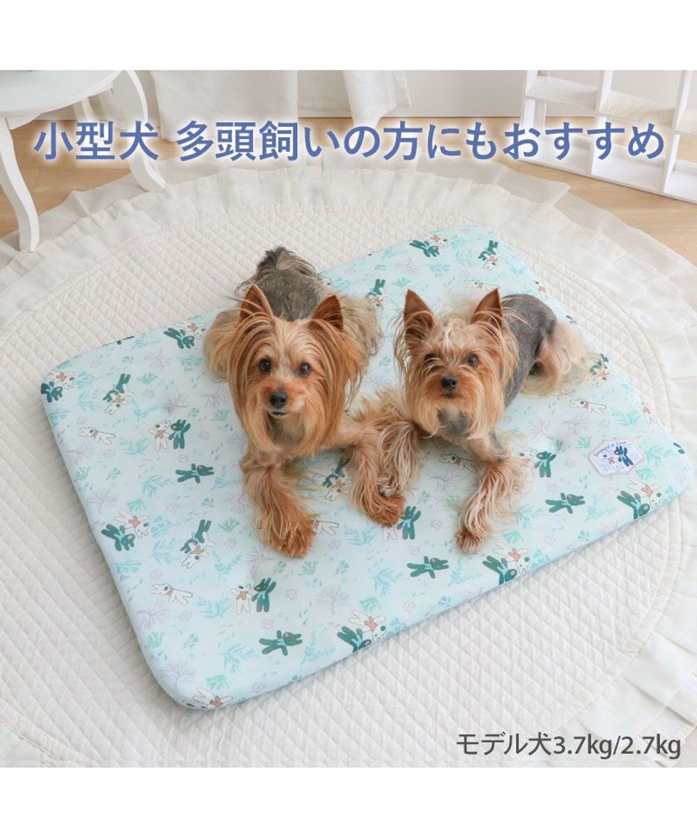 PET PARADISE リサとガスパール もちっと クール マット Ｍ 《海草柄》 