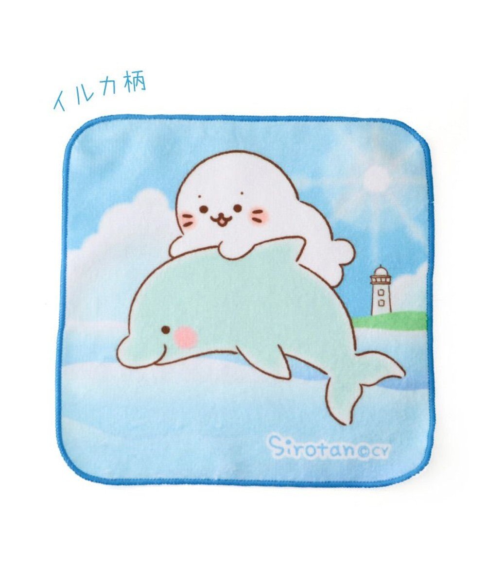 Mother garden しろたん ミニタオル 3枚セット 