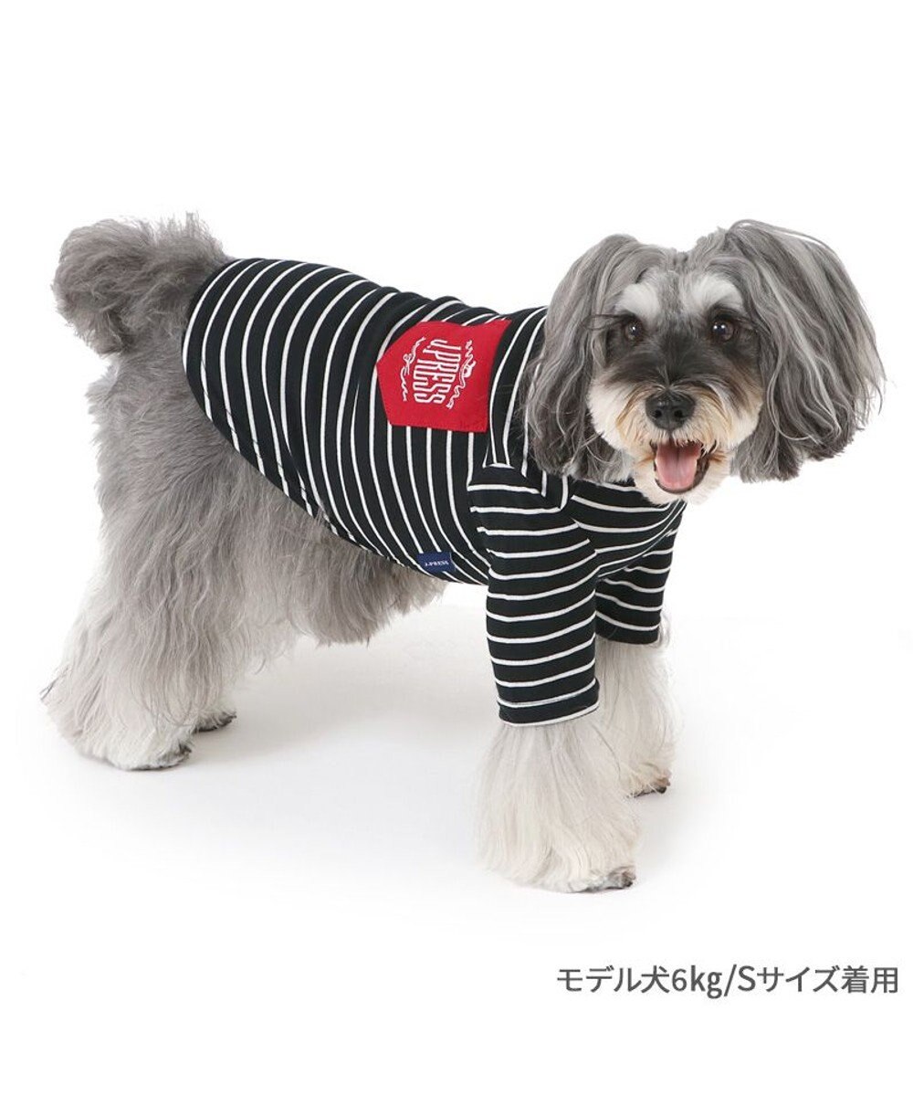 PET PARADISE J.PRESS フライス Tシャツ 《ボーダー》 小型犬 