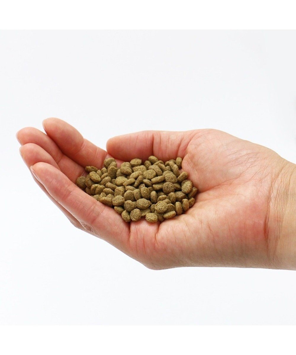 PET PARADISE ペットパラダイス  国産 ドッグフード ビオキッチン 3kg 