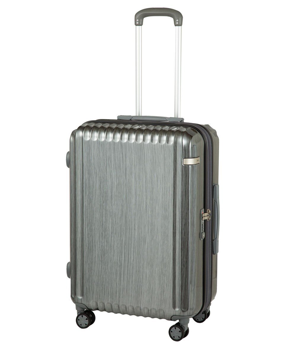 ACE BAGS & LUGGAGE ace. パリセイドZd Mサイズ 59～70L 06818 エース 