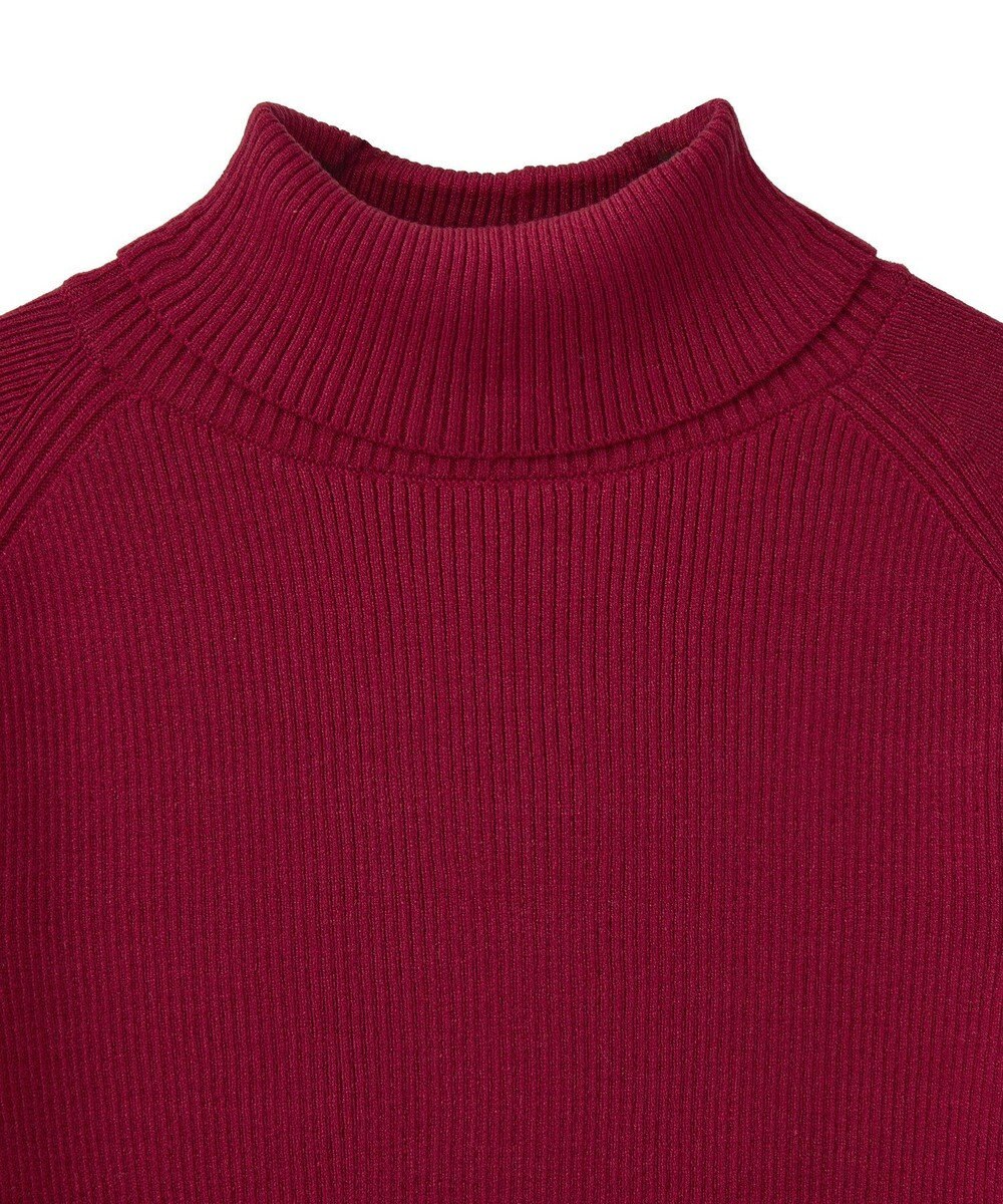 earth music&ecology 【イージーケア】【洗濯機洗い可】レンチング(TM)エコヴェロ(TM)(リブタートル) 