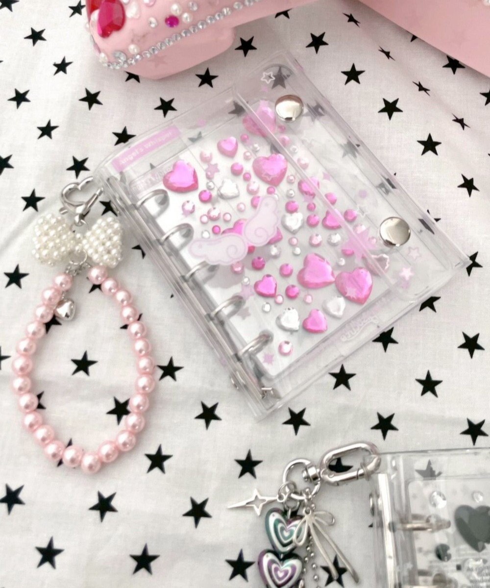 WEGO クリアグラフィックシールバインダー 