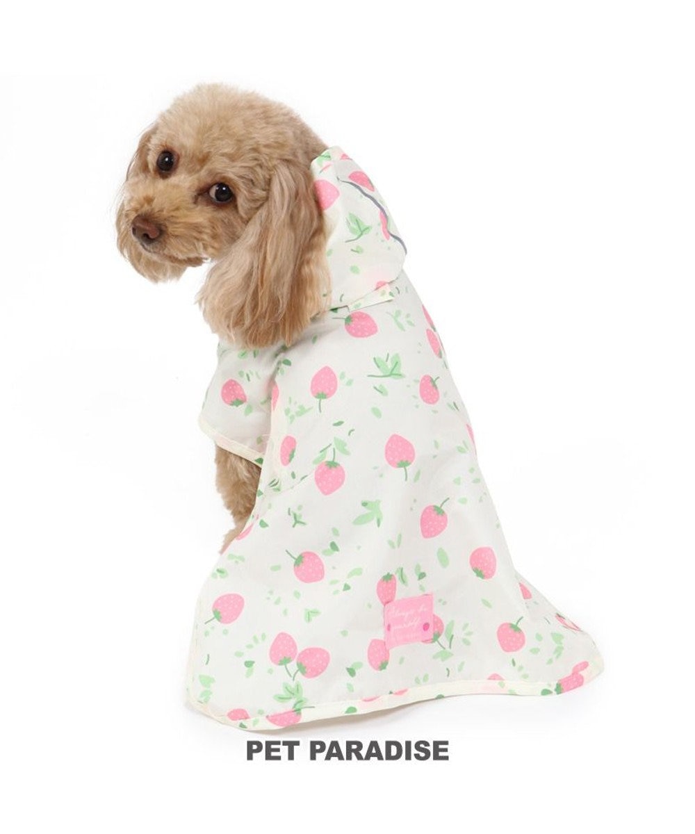 PET PARADISE 犬 レインコート 苺柄 レインマント 〔小型犬〕 ドッグウエア ドッグウェア イヌ おしゃれ かわいい 梅雨対策 撥水 アウター 雨 雨の日 -