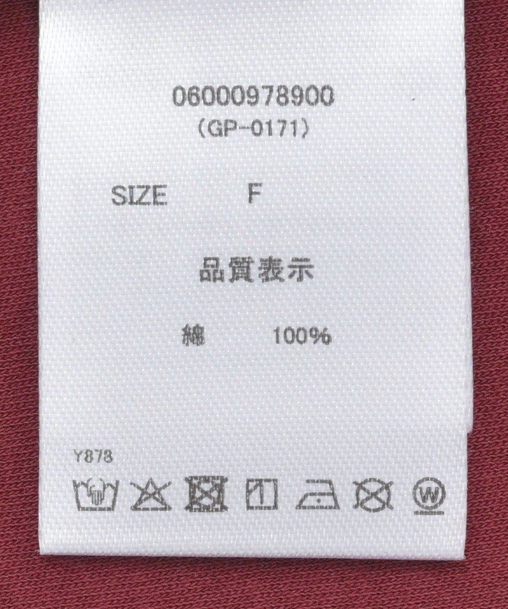 Green Parks ・ｓｗｉｎｇ　ｂｙ　シルケットオーバーサイズＴＥＥ 