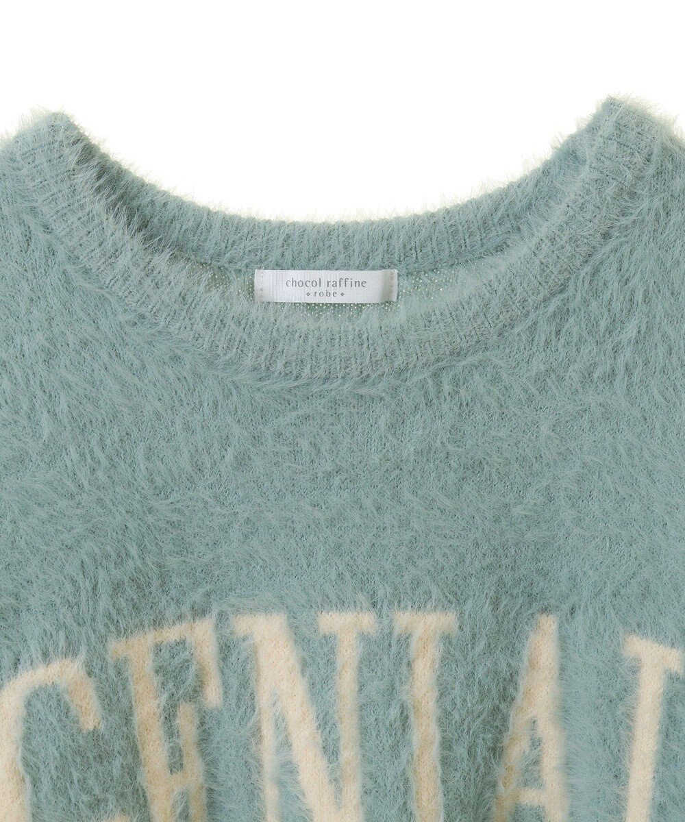 Green Parks シャギーロゴニットプルオーバー 