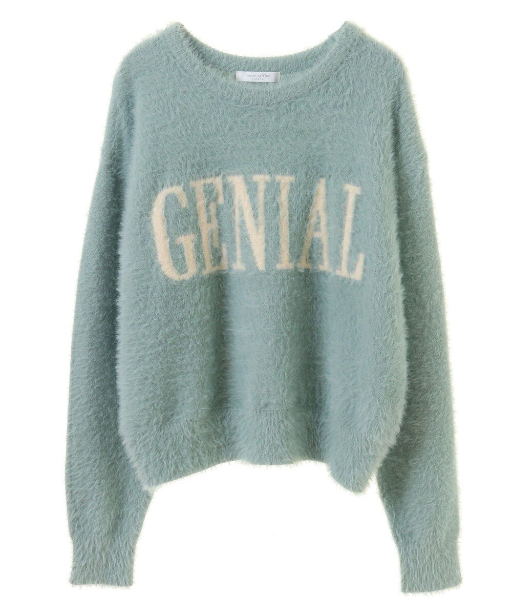 Green Parks シャギーロゴニットプルオーバー 