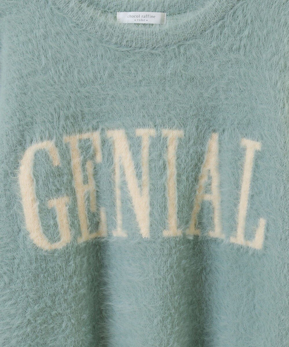 Green Parks シャギーロゴニットプルオーバー 